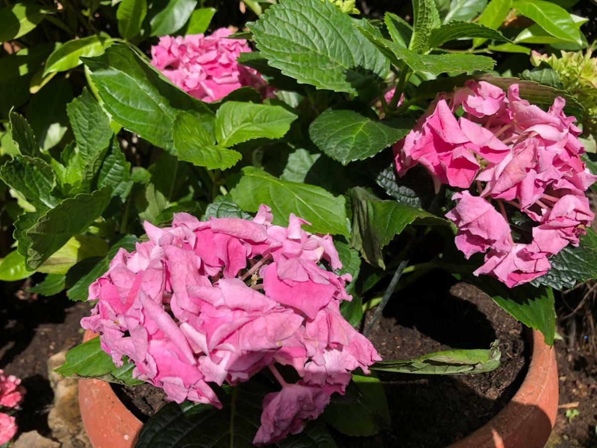 Apartment Garden Malinska Extérieur photo